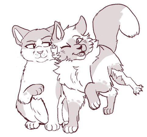 sketch