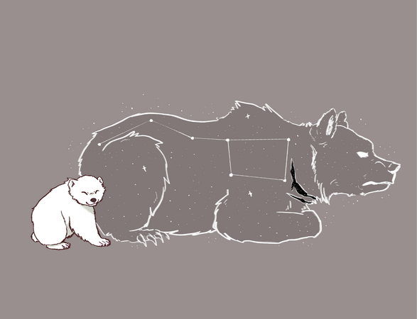 no shading